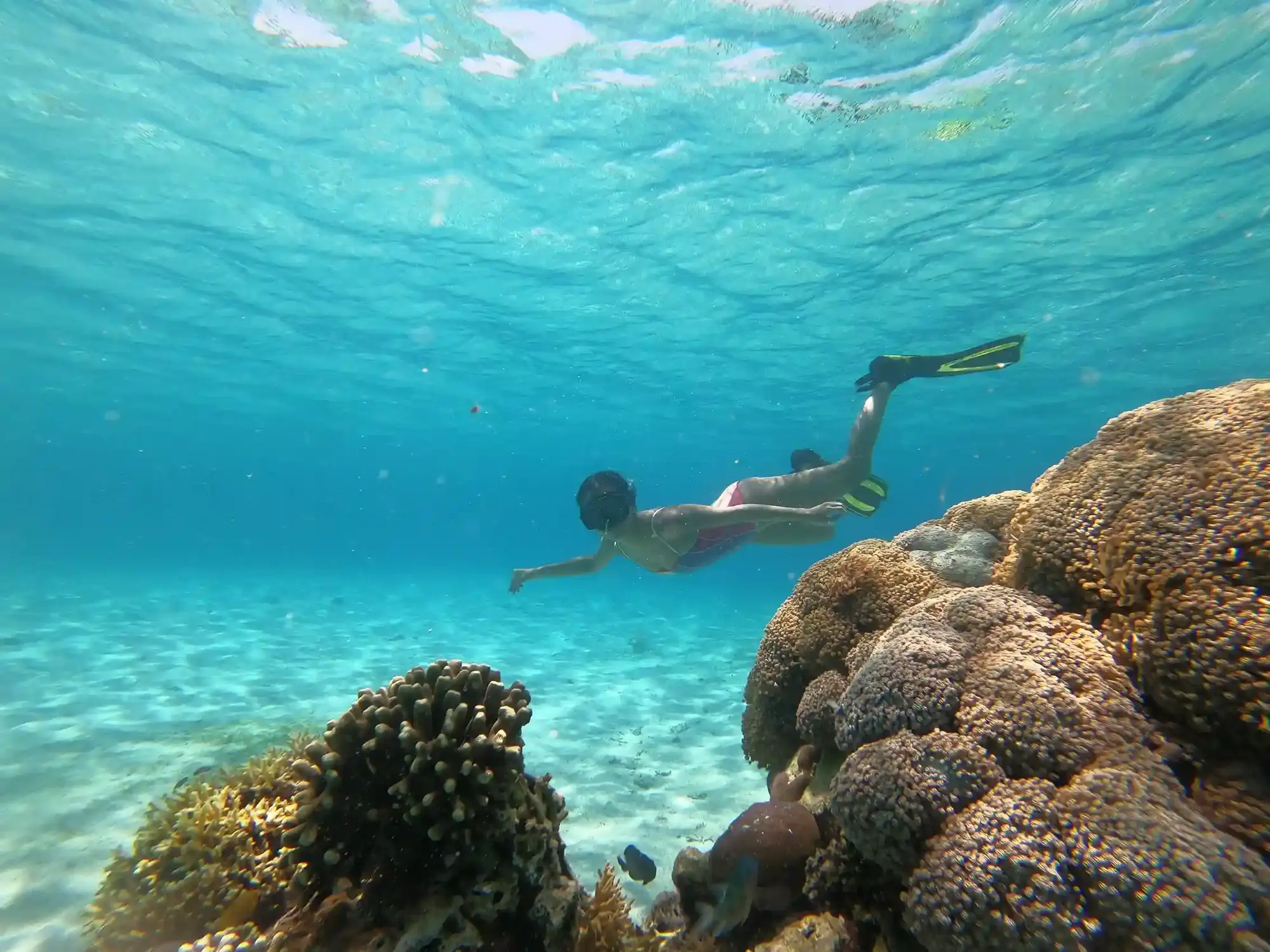 Snorkeller swimming beside a coral reef in clear water