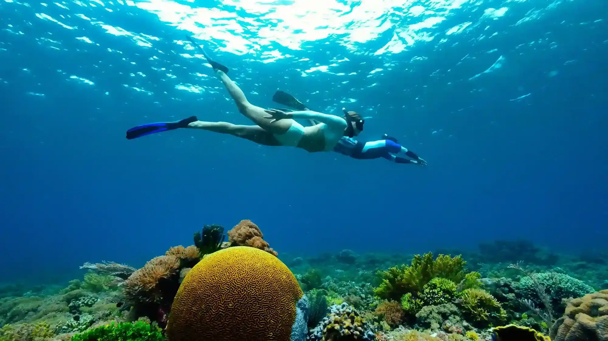 Freediver gliding above a healthy coral reef